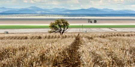 Liverpool plains